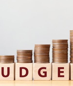 Budget news