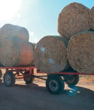 straw