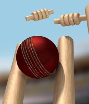 cricket news